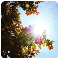 长轻营养食疗课程..减脂餐