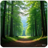 学做菜视频教程，八大菜系炒菜做饭