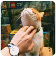 怀旧童年视频素材